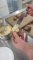 IMG-20231221-WA0017