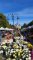 Excursie_tematica_23