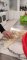 IMG-20231221-WA0029